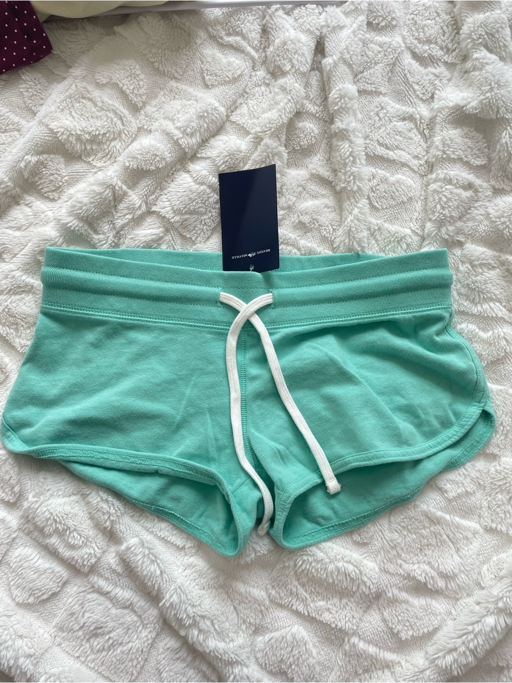 Brandy Melville Mint Green Drawstring Athletic Shorts